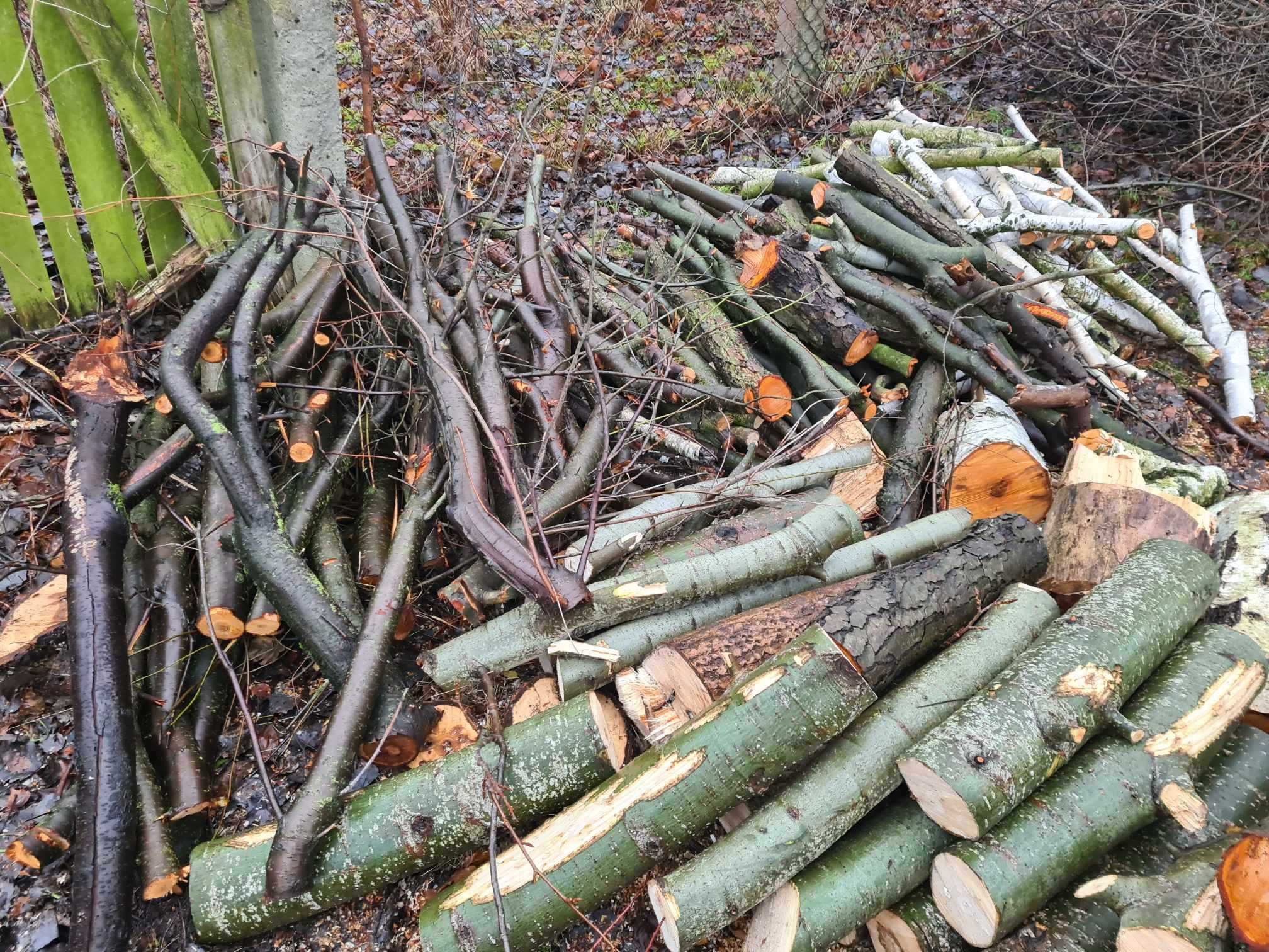 Drewno opałowe na sprzedaż