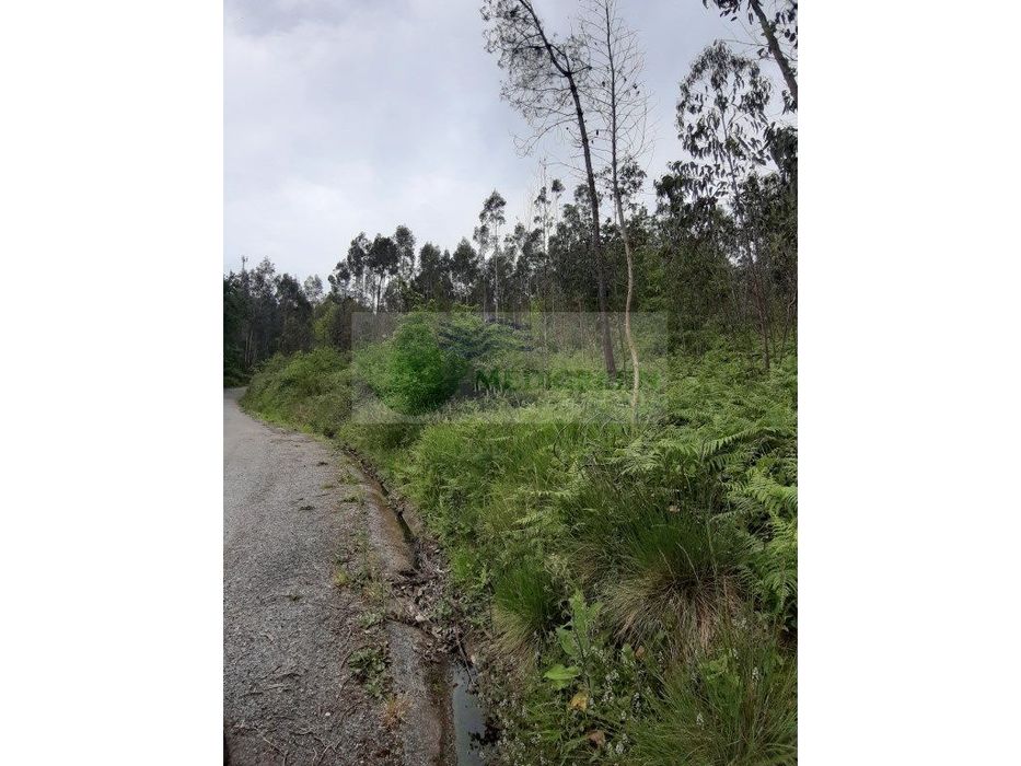 Terreno Com Viabilidade De Construção Proximo A Vila
