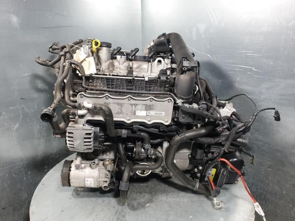 Motor completo VOLKSWAGEN Golf Sportsvan (AM1)
