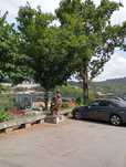 BMW 520 dA