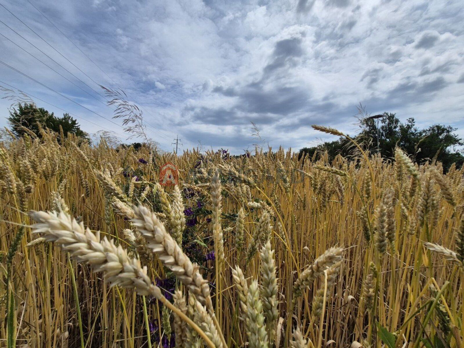 Продаж будинку в Червоній Слободі