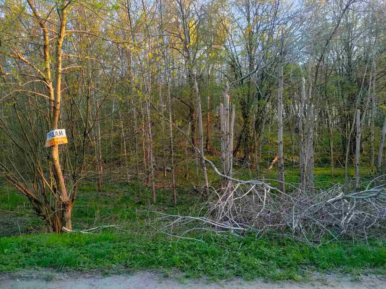 Є земельна ділянка  біля лісу, асфальт. Підійде під туристичний бізнес