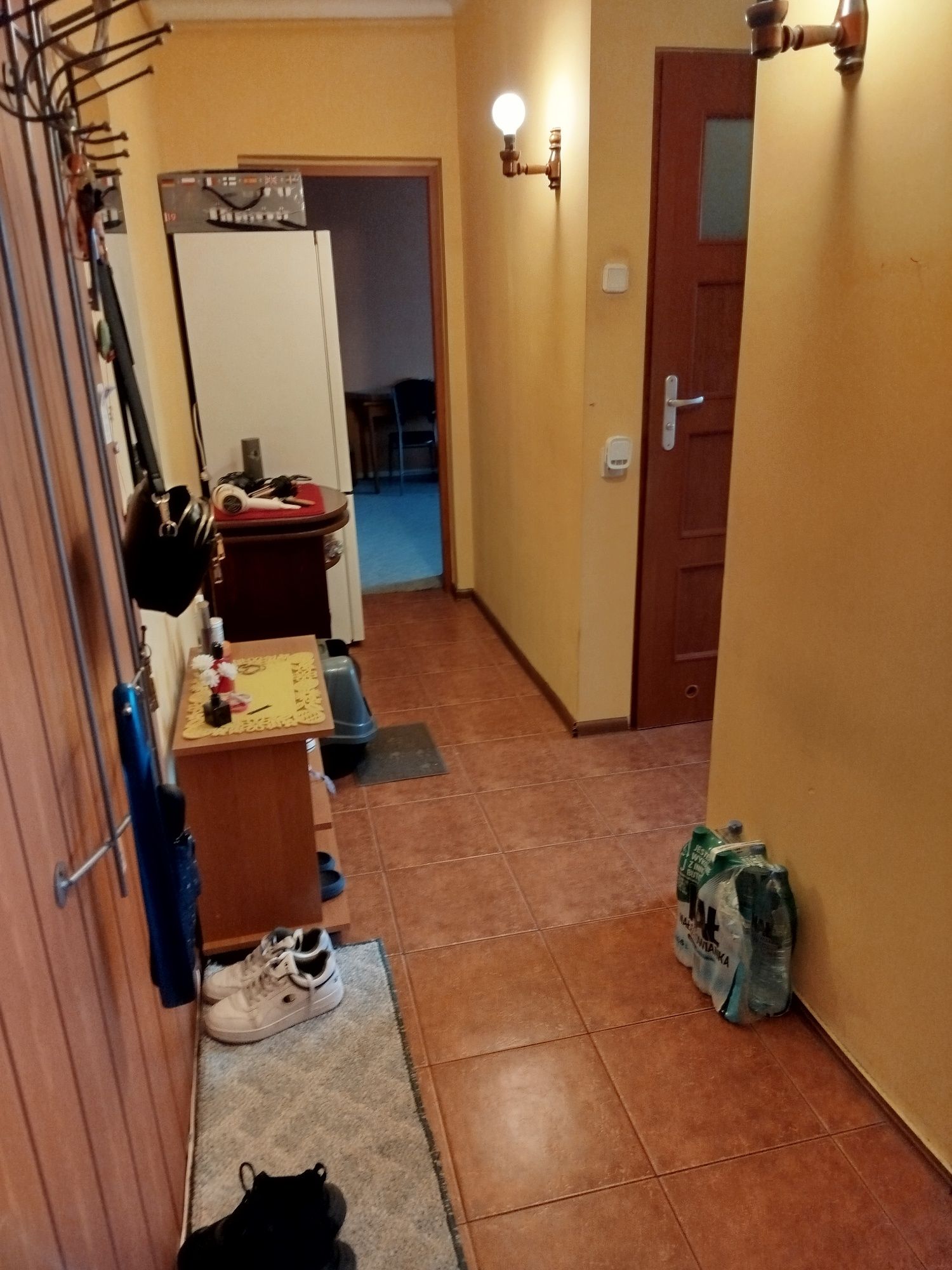 Mieszkanie do wynajęcia