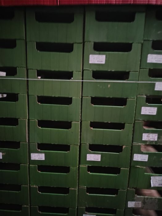 Kartony 6kg  używane na warzywa