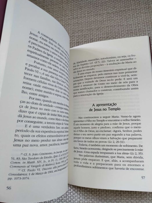 Maria, transparência de Deus (Chiara Lubich)