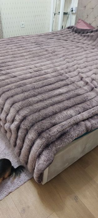 Одіяло 2м на 2.30 кролик шиншила