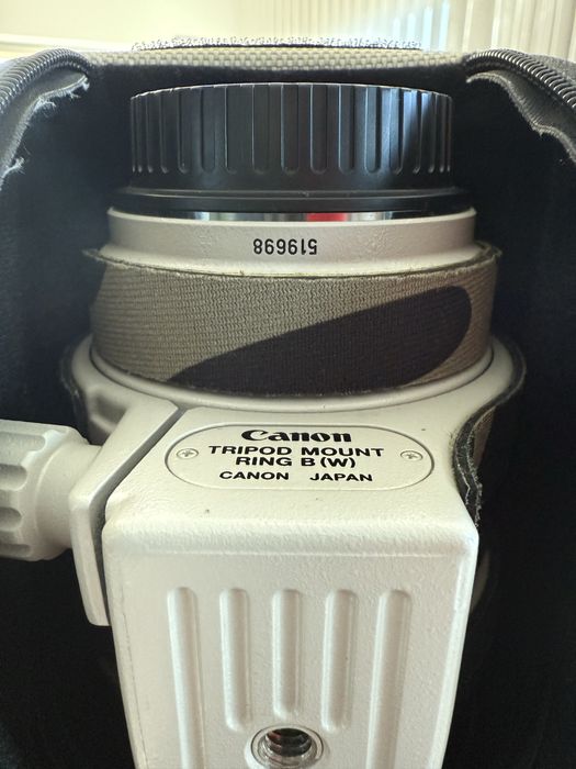 Objectiva Canon 100-400