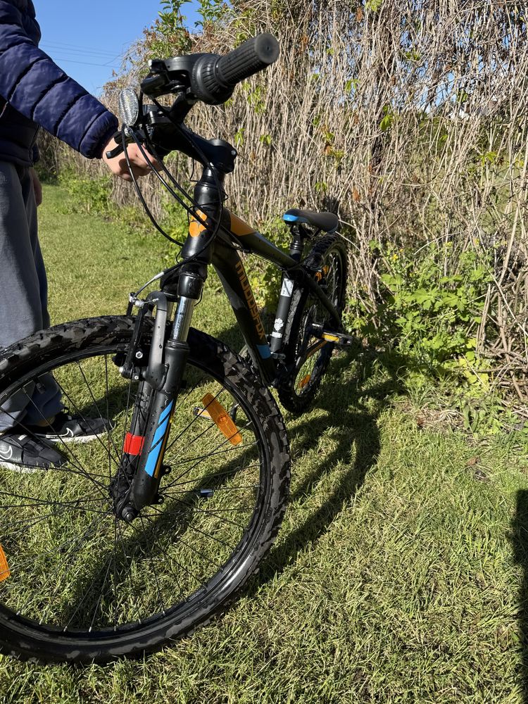 Rower Muddyfox Anarchy 24.