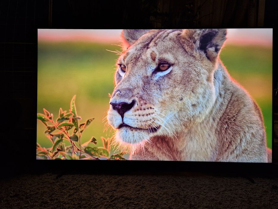 Tv Samsung 65" QLED smart 4K hdmi 2.1 UHD HDR BT telewizor SLIM DVBT-2