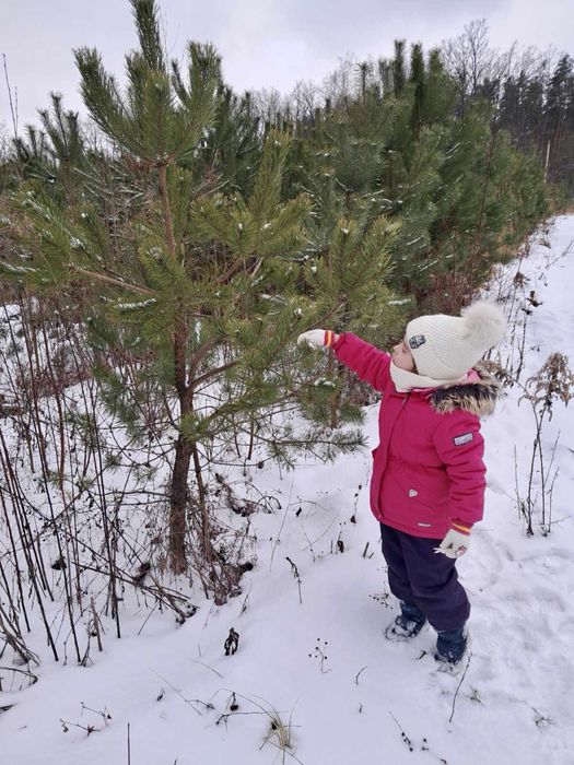 Зимовий комбінезон Lenne 110 в чудовому стані