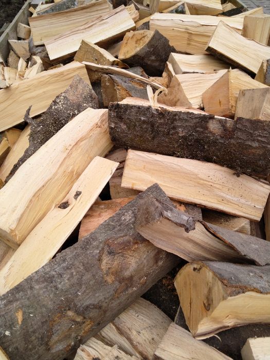 Buk Brzoza Drewno kominkowe i opałowe buk