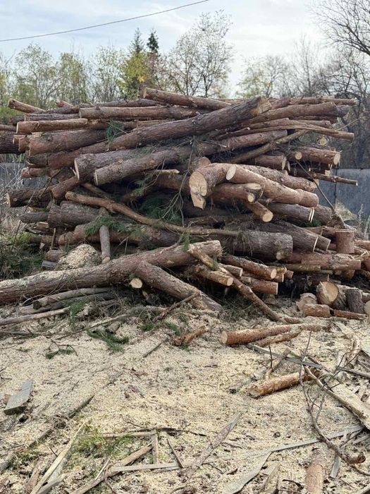 Дрова сосна рубані, пиляні в наявності.Доставка