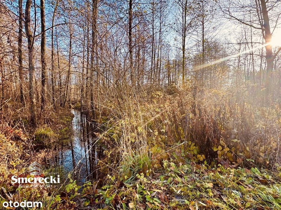 Działka  nad "Zalewem Zahorodyńskim"
