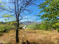 Terreno de 1500 m2 com Ruina, em Felgueiras, Fortunho, Vila Real