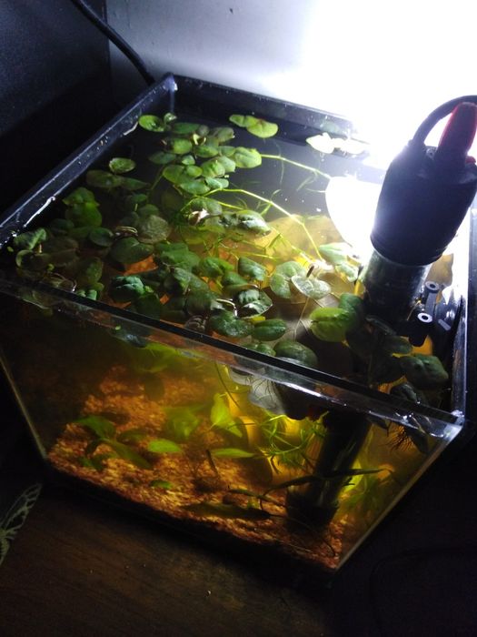 Светильник AQUAXER LED 5B-M3, 5 Вт