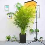 Lampa LED do roślin ze stojakiem UV 2000lm 25W 99 sztuk