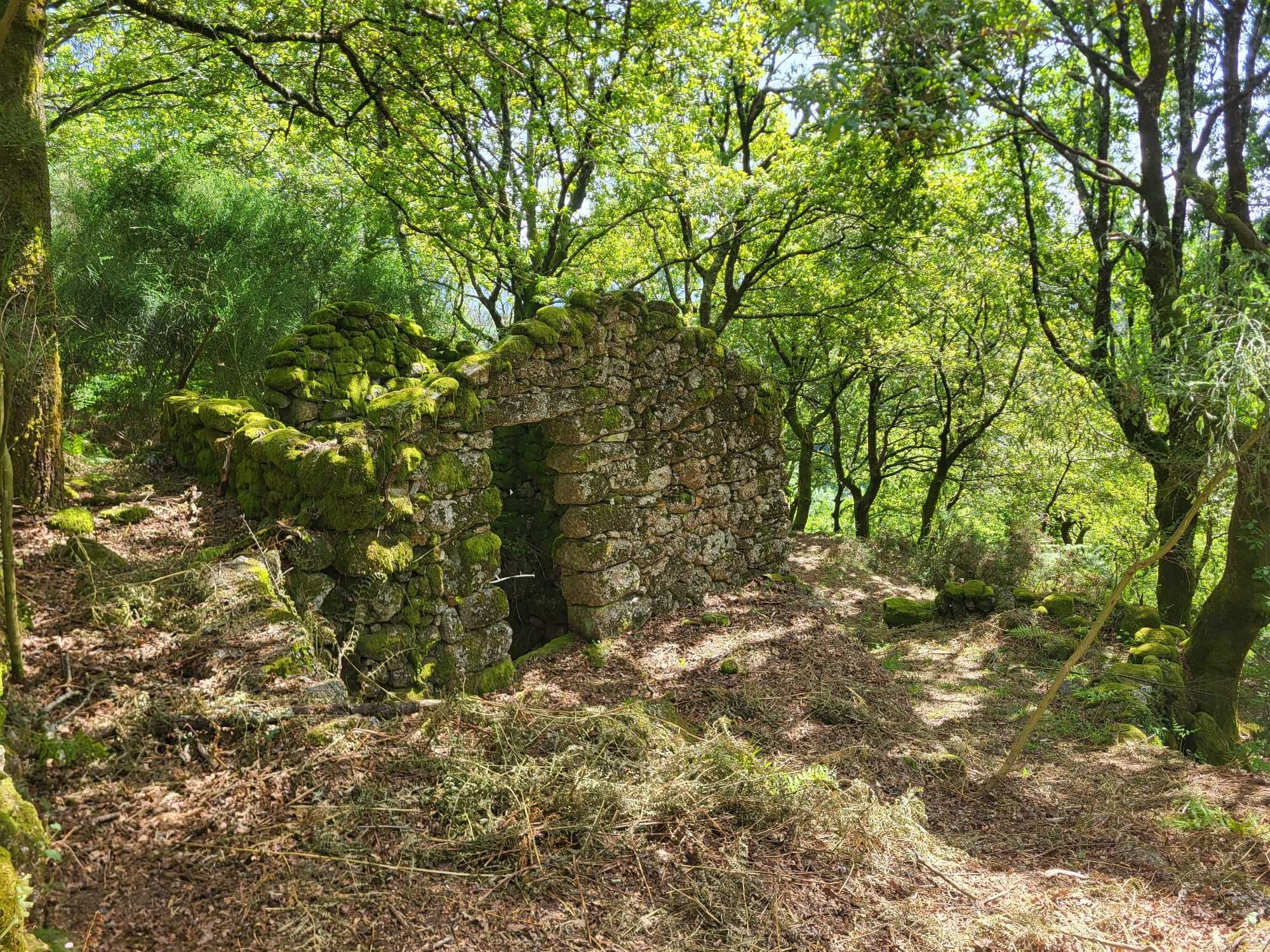 Terreno no Gerês com Ruína e Mina 3 Artigos 8.100m²