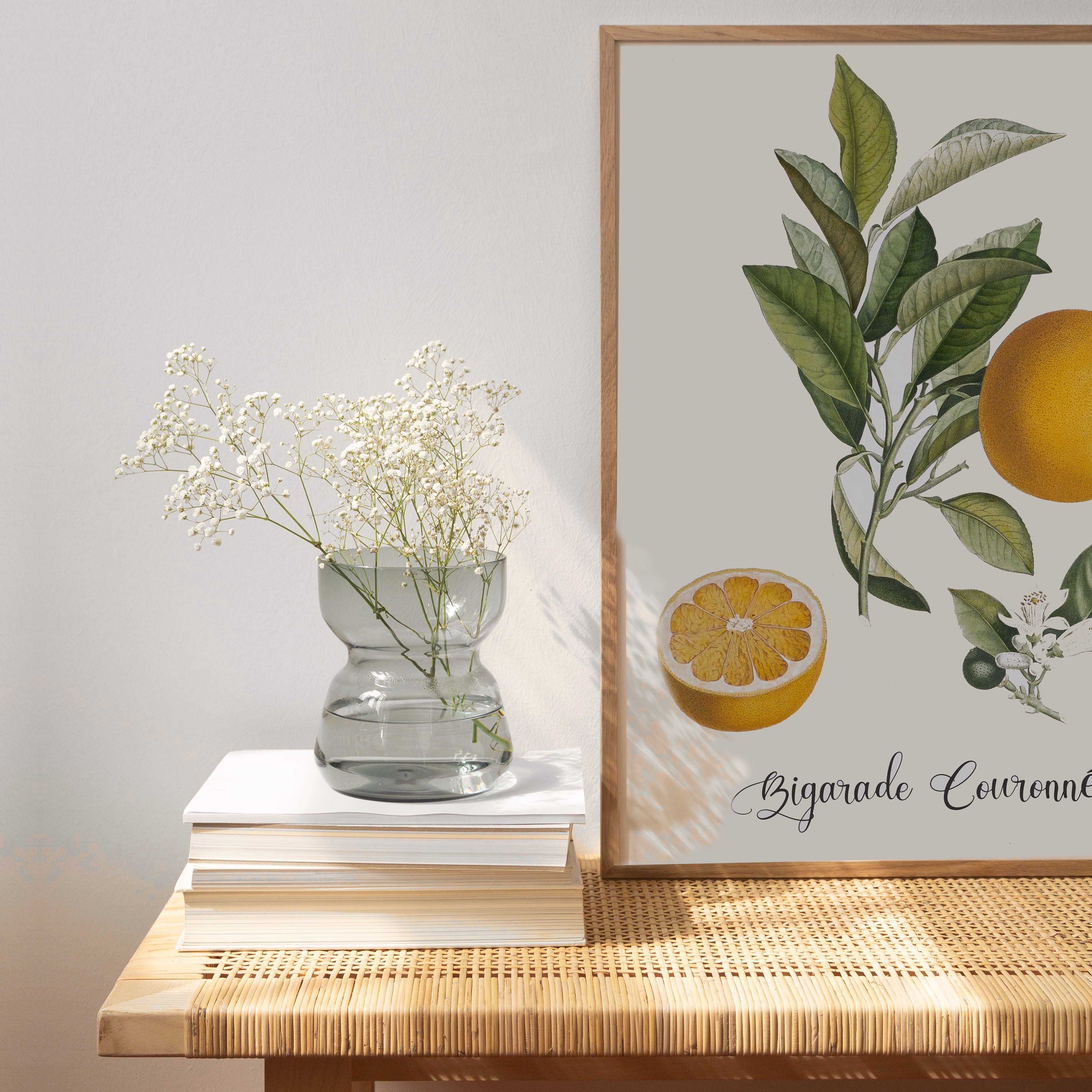Plakaty botaniczne, pomarańcze, zestaw 3 sztuk