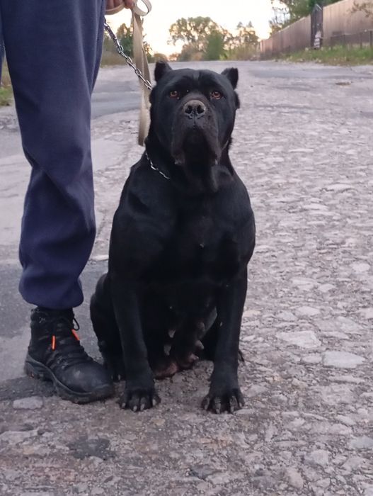 Неймовірні красені і красуні