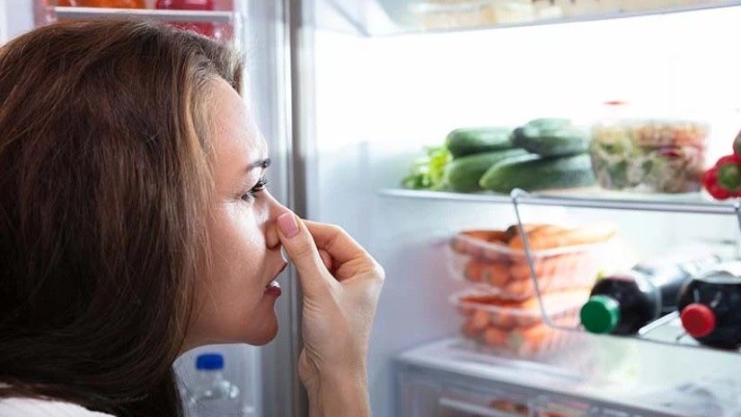 Озонация — удаление любых запахов и дезинфекция