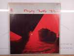 Philadelphia Jerry Ricks - Empty botlle blues winyl