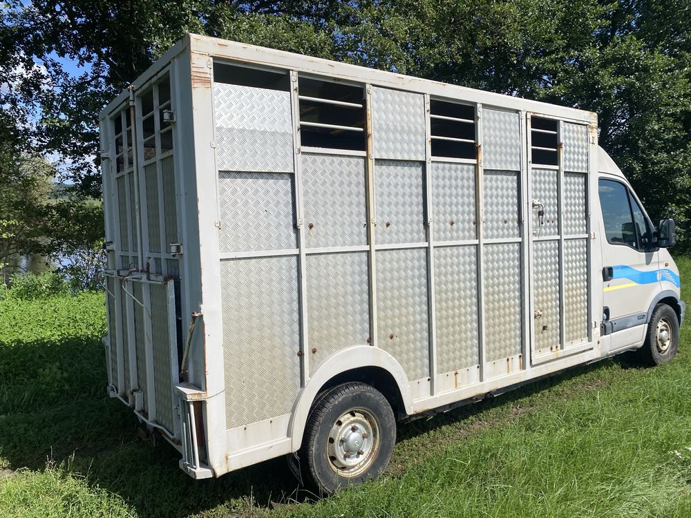 Renault Master 2.8 DTI . Do Przewozu Zwierząt