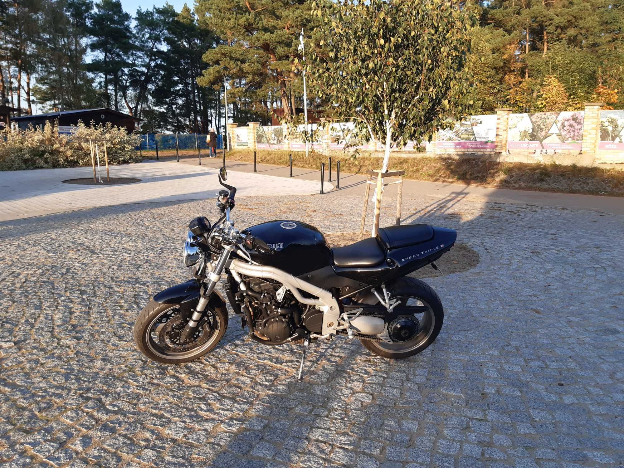 Triumph Speed Triple 955i 2002r