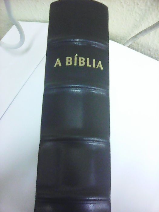 Bíblia com Capa em Pele