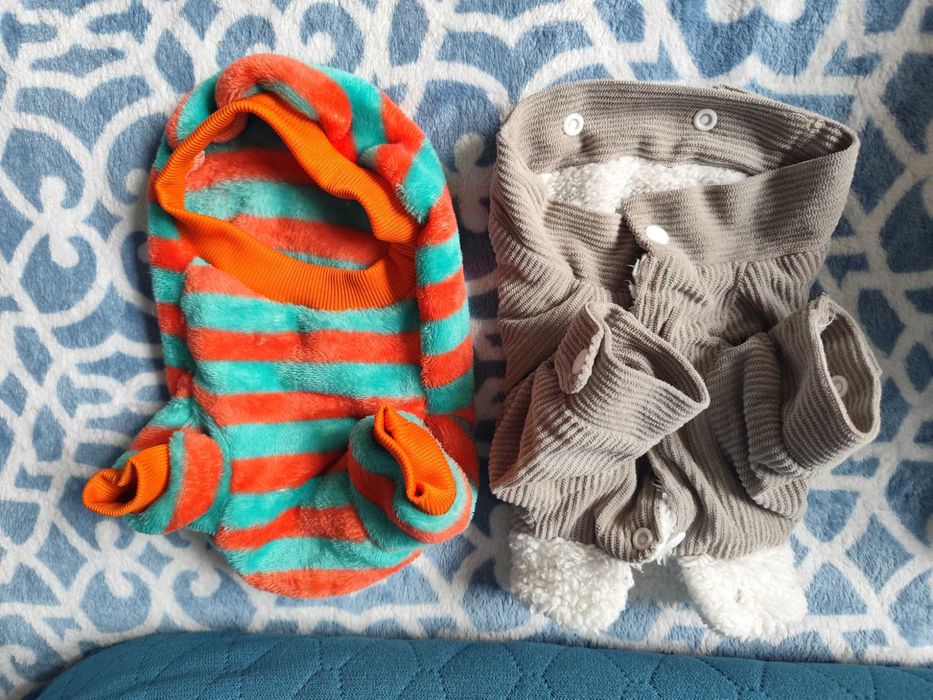 Jesienne ubranka dla małego pieska