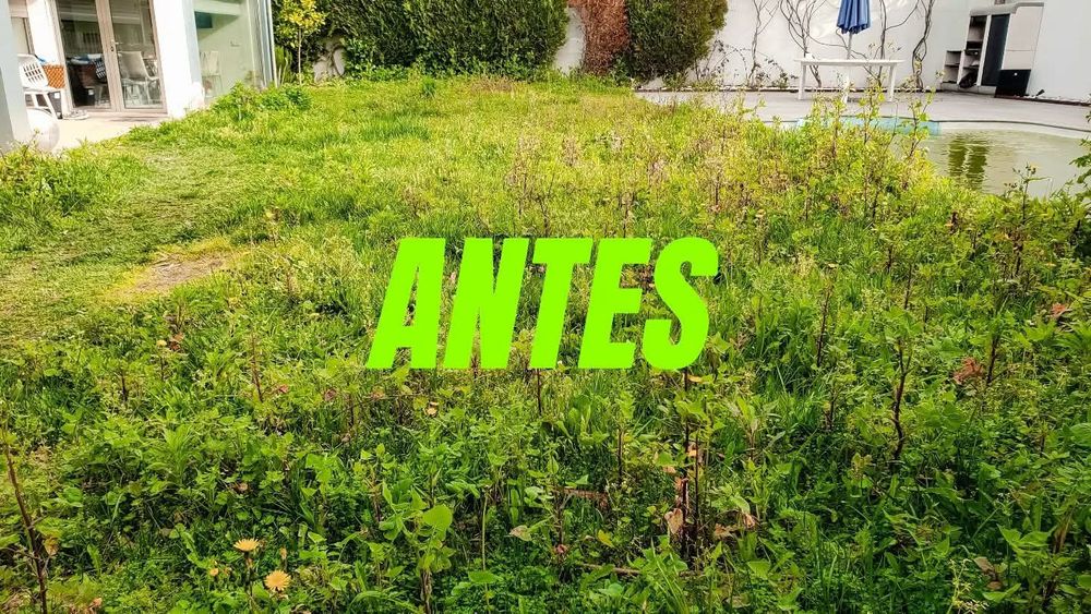 Empresa de jardinagem