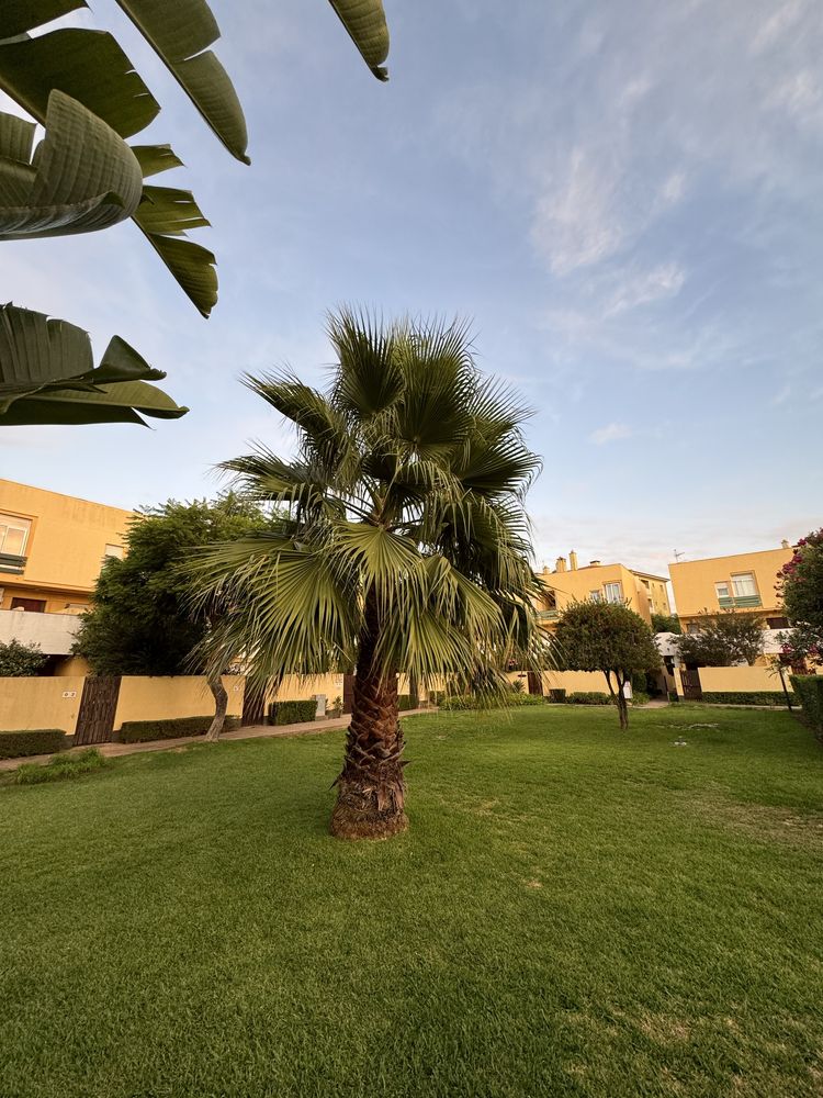 Casa de Ferias - Casa Sol - Vilamoura