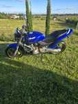 Honda Hornet 600