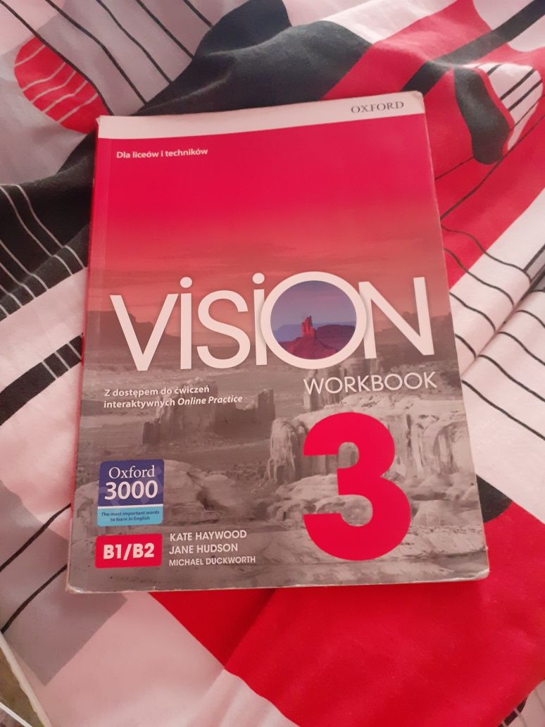VISION 3 workbook