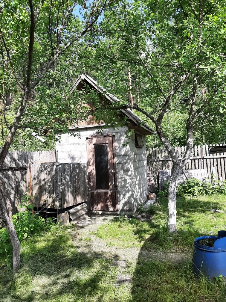 Продаж  дачі біля лісу.