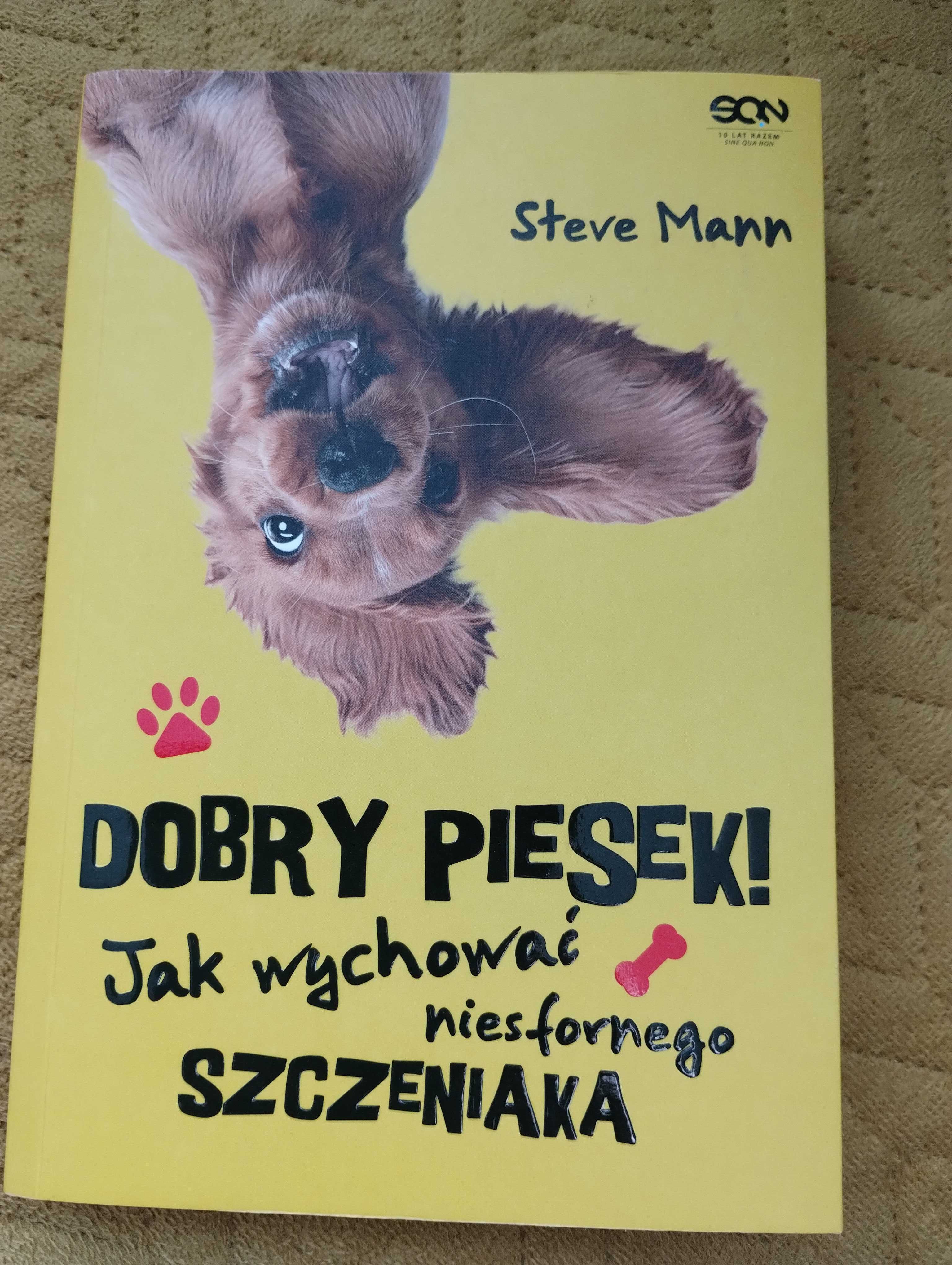 Jak rozmawiać z psem, Dobry piesek, Posłuszeństwo na co dzień