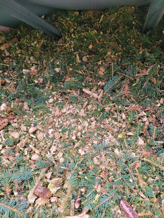 Zrębka Liściasto-Iglasta,zrębka liściasta,zrębka iglasta,zrębka agro