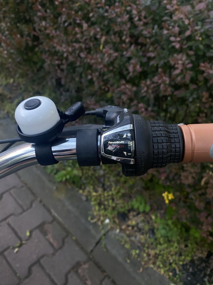 Rower miejski crusier