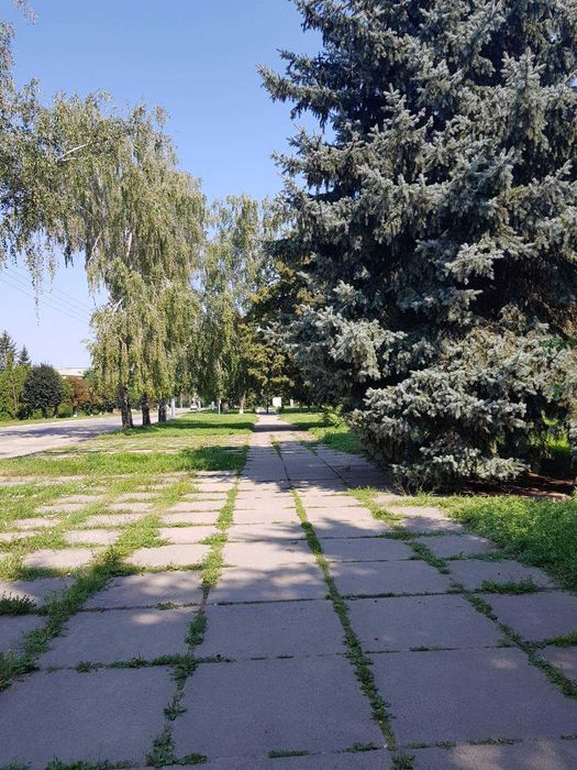 Продаж квартир у центрі міста Миронівка.