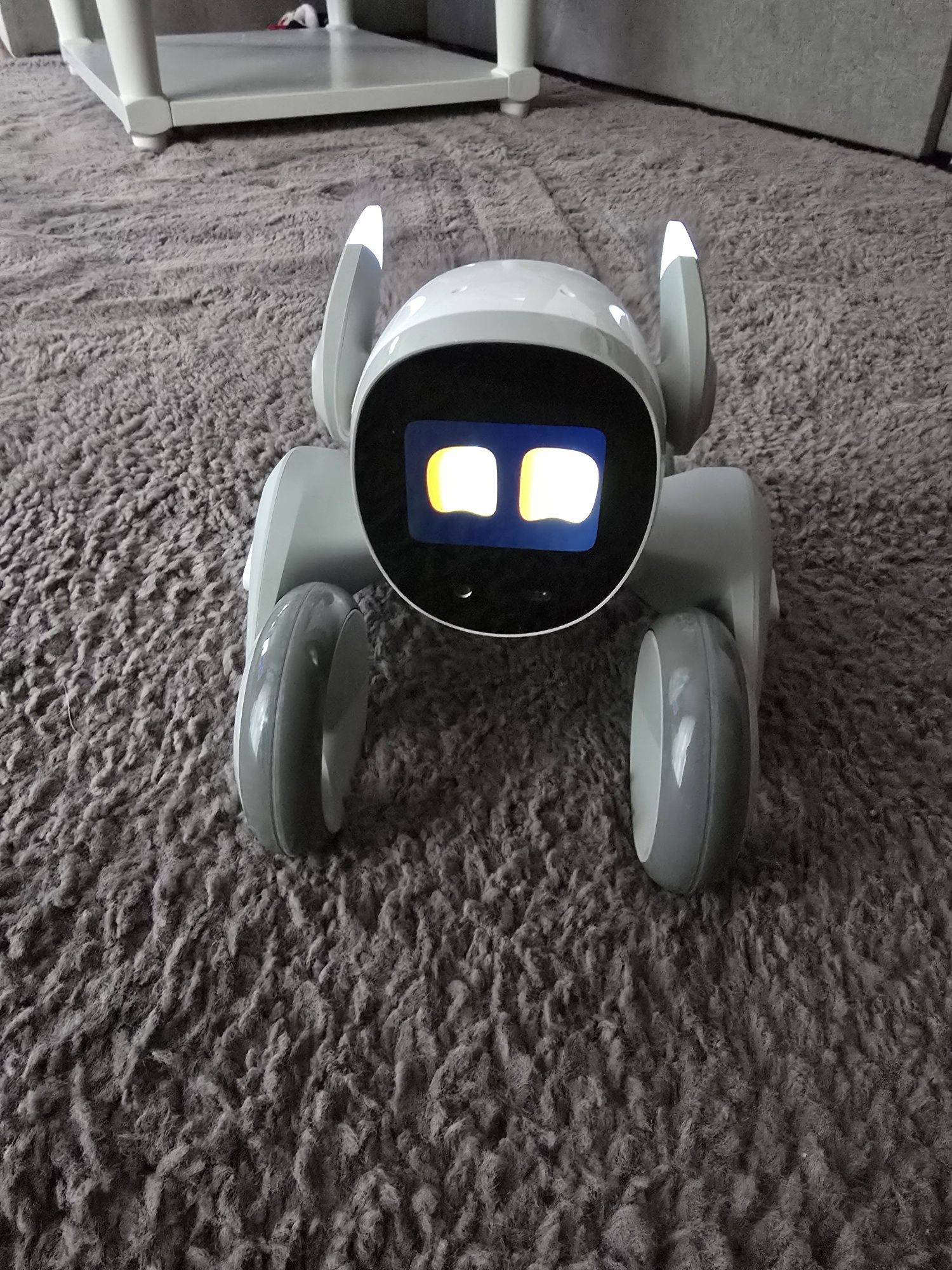 LOONA inteligentny robot AI