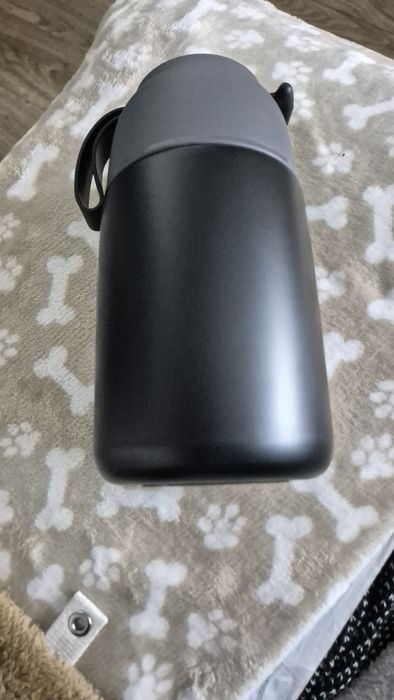 Izolowany pojemnik na lunch