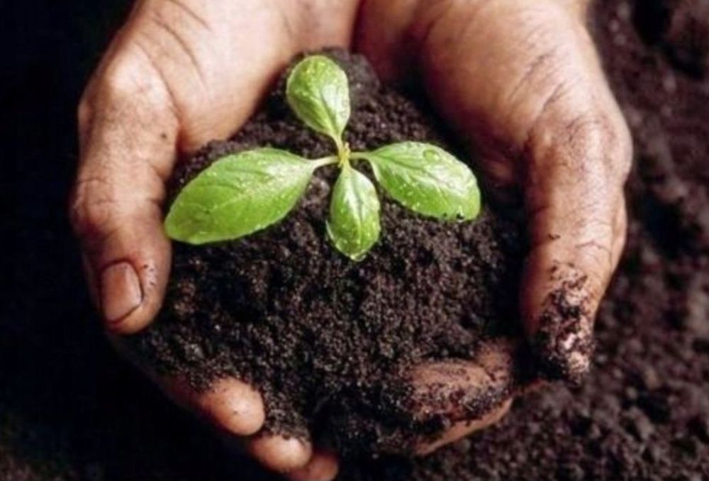 Humus/ czarnoziem siany