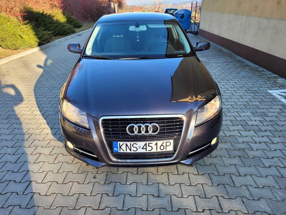 AUDI A3 Lift Doinwestowana 1.6TDI Manual KLIMATRONIK PERŁA