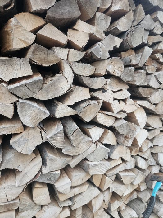 Buk suchy drewno kominkowe 3 letni