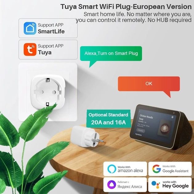 Розумна wifi розетка Aubess Smart Socket EU 16A/20A