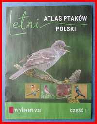 Letni atlas ptaków Polski - 1 - Gazeta Wyborcza