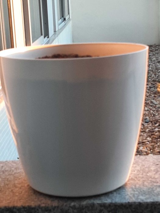 Dois Vasos grandes branco 30 diametro e 21 altura