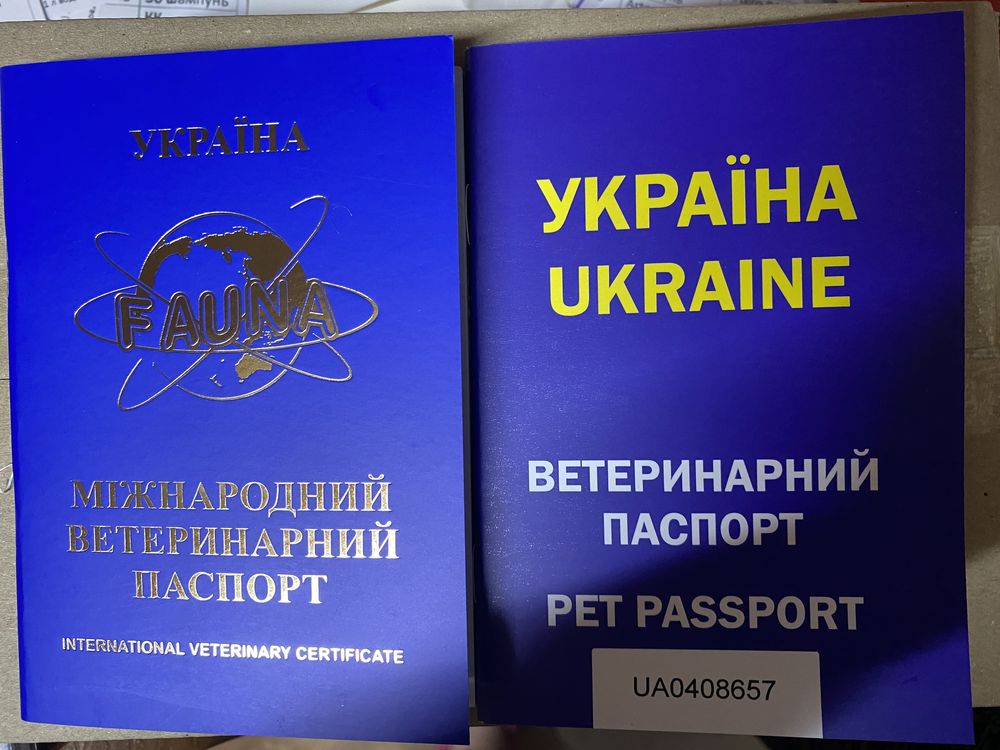 Мікро чіп для виезда за граніцу коту собаке і другім животним