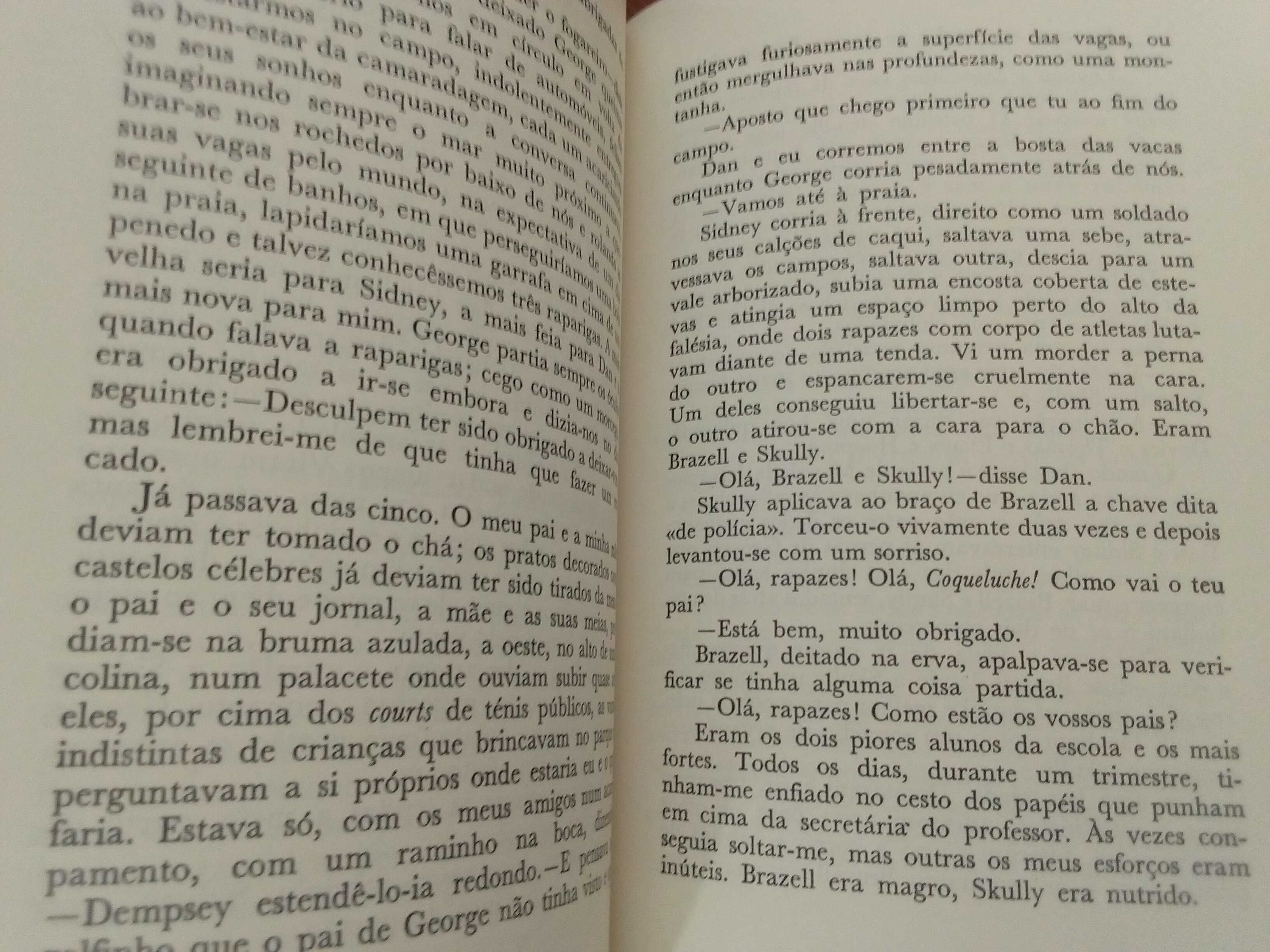 Dylan Thomas - Retrato do artista quando jovem cão