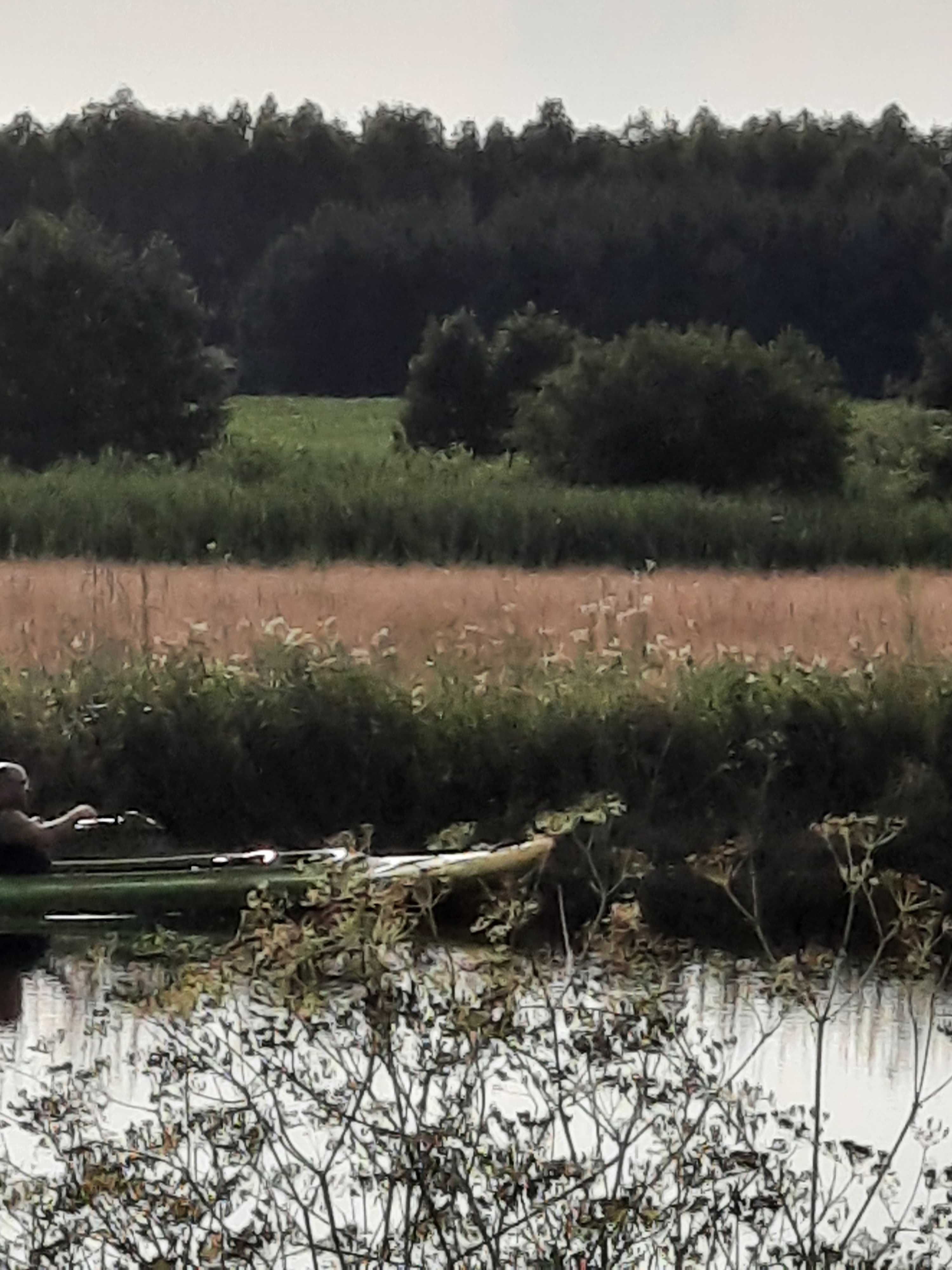 Noclegi Podlasie Borki Supraśl WOLNY WEEKEND WAKACJE