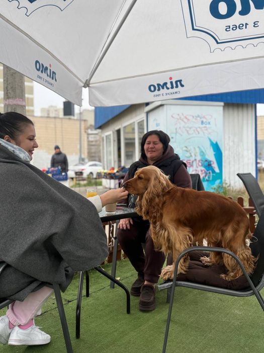 Продам неймовірну кавʼярню